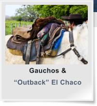 Gauchos & “Outback” El Chaco