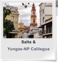 Salta & Yungas-NP Calilegua
