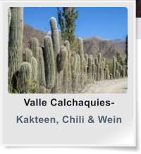 Valle Calchaquies- Kakteen, Chili & Wein