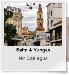 Salta & Yungas NP Calilegua