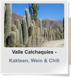 Valle Calchaquies - Kakteen, Wein & Chili