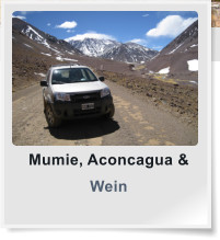 Mumie, Aconcagua & Wein